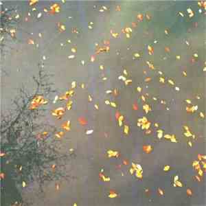 Various - Enjoy The Silence