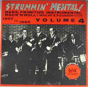 Various - Strummin' Mental! Volume 4