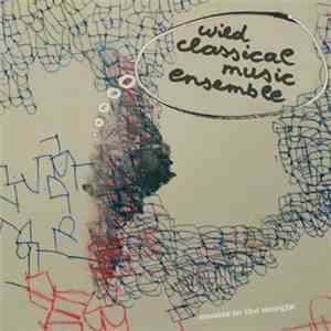 Wild Classical Music Ensemble - Wild Classical Music Ensemble