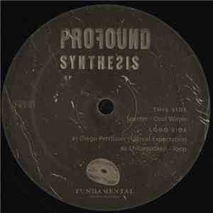 Various, Chicagodeep, Specter, Diego Perrisson - Profound Synthesis EP