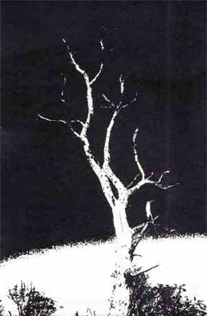 Blue Sabbath Black Cheer / Hymns Of The Despondent Solitude - Blue Sabbath Black Cheer / Hymns Of The Despondent Solitude