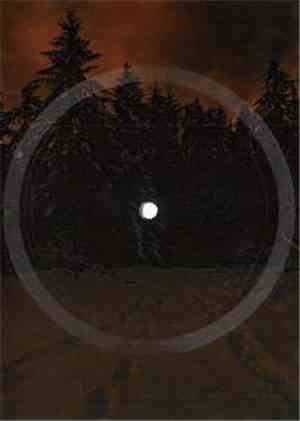 Circulation Of Light - Stillness