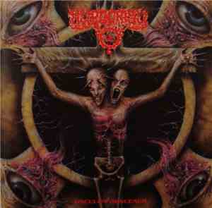 Hypocrisy - Osculum Obscenum