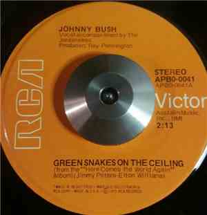 Johnny Bush - Green Snakes On The Ceiling / Drinkin' My Baby Right Out Of My mind