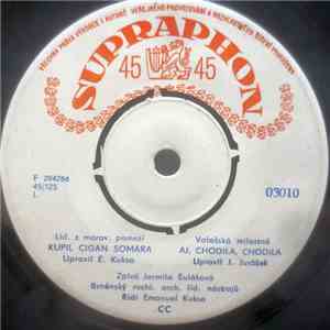 Jarmila Šuláková - Kupil Cigán Somára / Aj, Chodila, Chodila