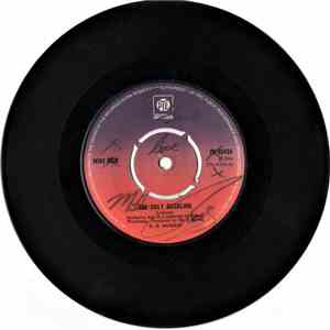 Mike Reid  - The Ugly Duckling