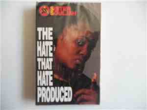 Sister Souljah - the Hate That Hate Produced