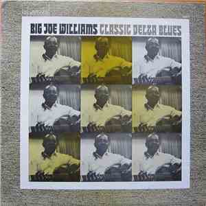 Big Joe Williams - Classic Delta Blues