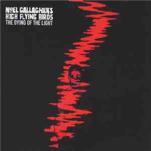 Noel Gallagher's High Flying Birds - The Dying Of The Light
