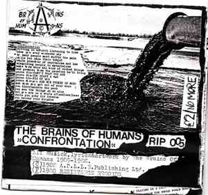 The Brains Of Humans - 