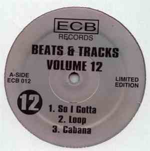 DJ Icey - Beats & Tracks Volume 12