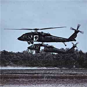 Loligore Orgy & The Ringing Emptiness - Black Helicopters