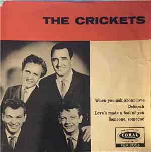 The Crickets  - The Crickets