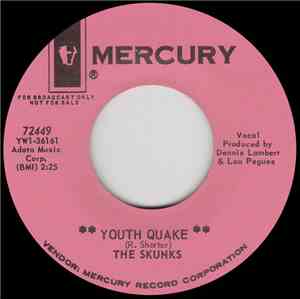 The Skunks  - Youth Quake