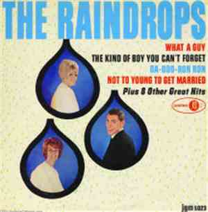 The Raindrops - The Raindrops