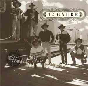 12 Gauge - Until You Walk The Tracks