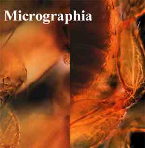 Micrographia - Micrographia
