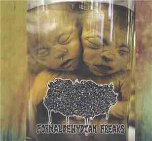 Human Stench Rests In The Morgue - Formaldehydian Freaks