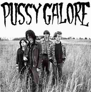 Pussy Galore  - Groovy Hate Fuck