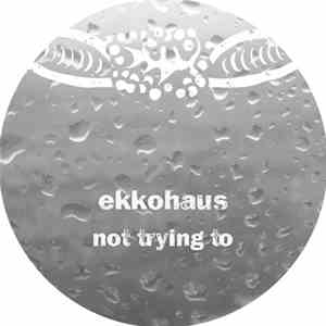 Ekkohaus - Not Trying To