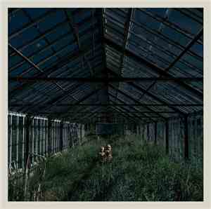 Foxing - Dealer