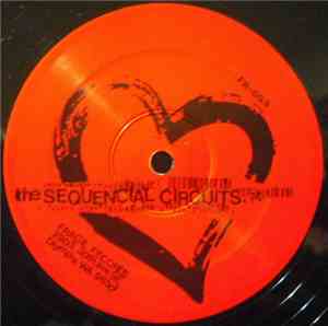 The Sequencial Circuits - The Sequencial Circuits