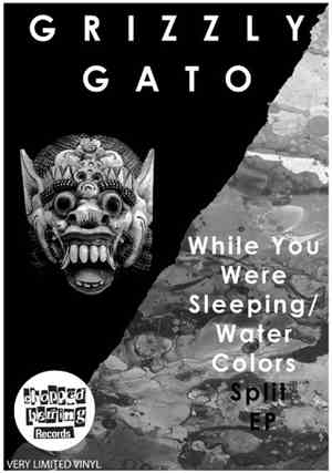Grizzly Gato - While You Were Sleeping / Water Colors Split EP