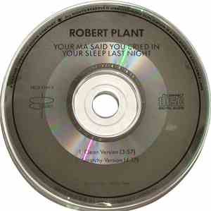 Robert Plant - Your Ma Said You Cried In Your Sleep Last Night
