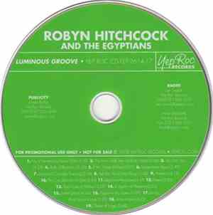Robyn Hitchcock & The Egyptians - Luminous Groove