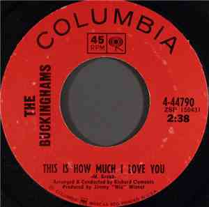 The Buckinghams - This Is How Much I Love You