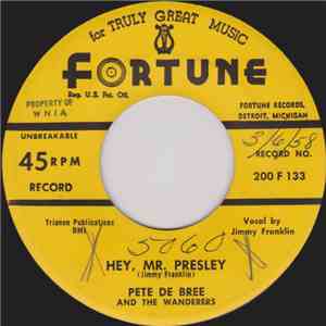 Pete De Bree And The Wanderers - Hey, Mr. Presley / Long Tall You (From Louisville)