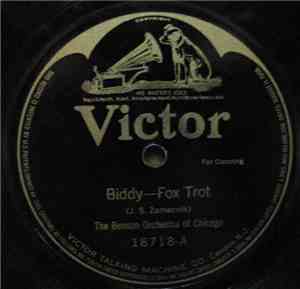 The Benson Orchestra Of Chicago - Biddy / Somebody