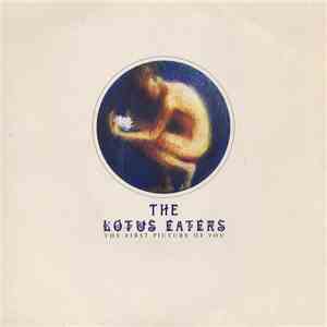 The Lotus Eaters - The First Picture Of You