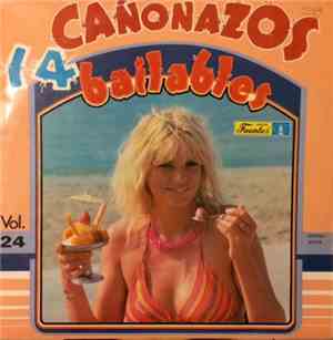 Various - 14 Cañonazos Bailables Vol. 24