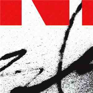 Nigo - Kung Fu Fightin'