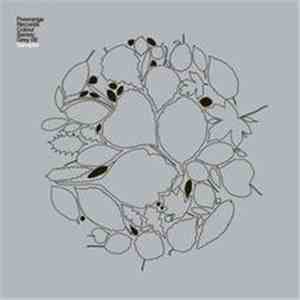 Various - Freerange Records Colour Series: Grey 09 Sampler