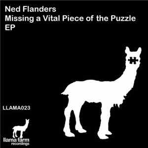 Ned Flanders  - Missing A Vital Piece Of The Puzzle EP