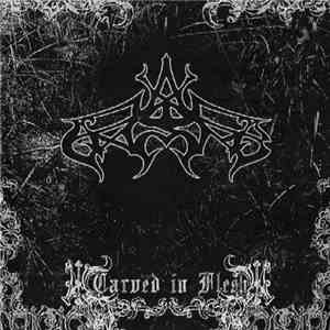 Ansur - Carved In Flesh