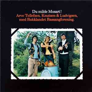 Arve Tellefsen, Knutsen & Ludvigsen Med Bakklandet Bassangforening - Du Milde Mosart!