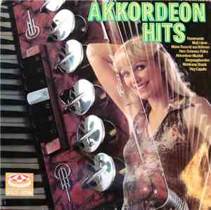 Hans Und Henry - Akkordeon Hits