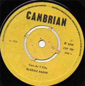 Blodau Banw - Caru Ar Y Ffon / Atgoffion