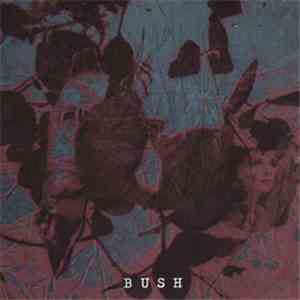 Bush  - Angelique