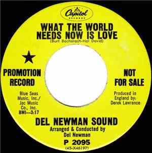 Del Newman Sound - What The World Needs Now Is Love