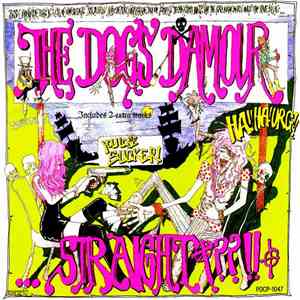 The Dogs D'Amour - Straight