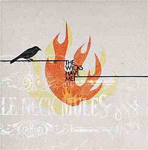 Wrinkle Neck Mules - The Wicks Have Met