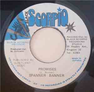 Spanner Banner - Promises