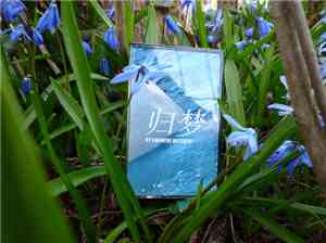 Swimful Buterfly - 归梦 (Return to a Dream)