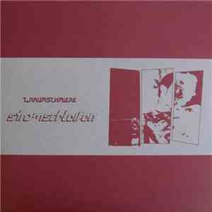 T.Raumschmiere - Stromschleifen