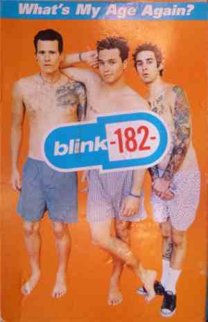 Blink-182 - What's My Age Again?