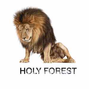 Holy Forest - Holy Forest